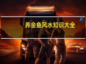 养金鱼风水知识大全（养金鱼风水知识）