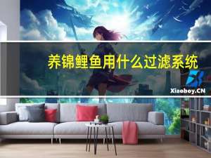 养锦鲤鱼用什么过滤系统