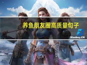 养鱼朋友圈高质量句子