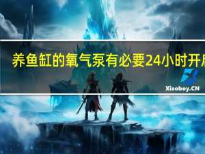 养鱼缸的氧气泵有必要24小时开启吗？