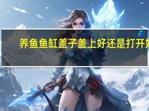 养鱼鱼缸盖子盖上好还是打开好