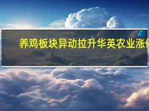 养鸡板块异动拉升 华英农业涨停
