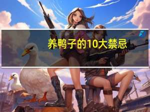 养鸭子的10大禁忌