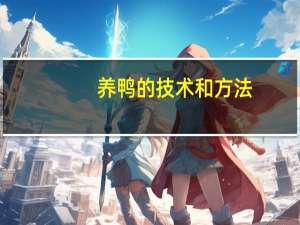 养鸭的技术和方法