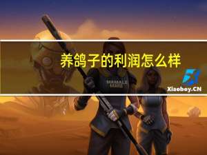 养鸽子的利润怎么样