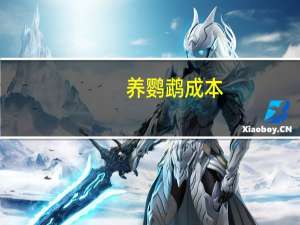 养鹦鹉成本