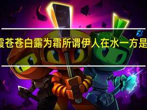 兼霞苍苍白露为霜所谓伊人在水一方是什么意思