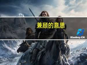 兼顾的意思