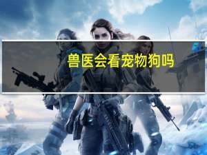 兽医会看宠物狗吗