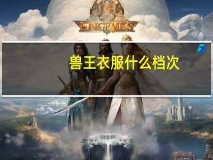 兽王衣服什么档次