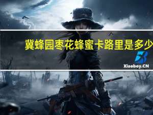 冀蜂园 枣花蜂蜜卡路里是多少