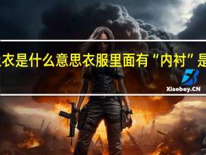 内上衣是什么意思 衣服里面有“内衬”是什么意思