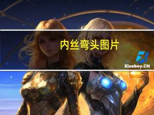 内丝弯头图片（内丝弯头）