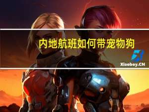 内地航班如何带宠物狗