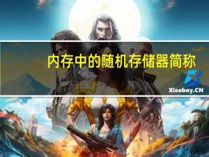内存中的随机存储器简称