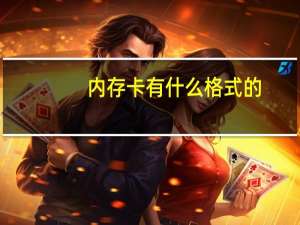 内存卡有什么格式的