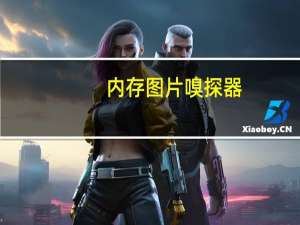内存图片嗅探器（内存图片）