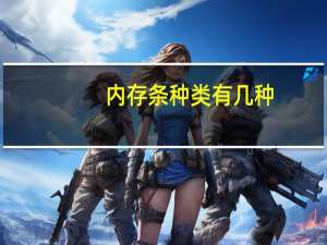 内存条种类有几种