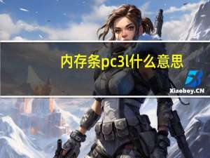 内存条pc3l什么意思