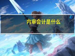 内审会计是什么