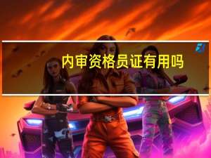内审资格员证有用吗