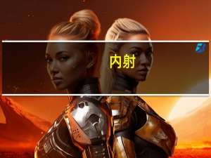 内射（关于内射的介绍）