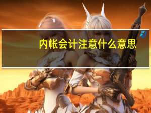 内帐会计注意什么意思