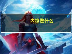 内控做什么