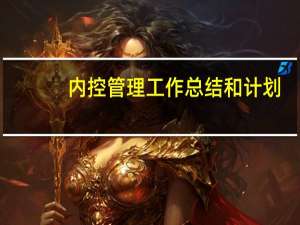 内控管理工作总结和计划（内控管理工作总结）
