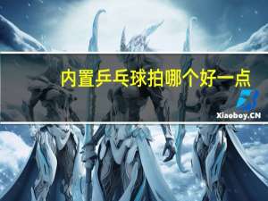 内置乒乓球拍哪个好一点