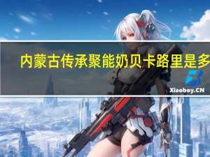 内蒙古传承 聚能奶贝卡路里是多少