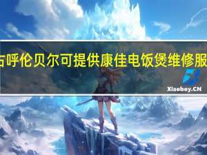 内蒙古呼伦贝尔可提供康佳电饭煲维修服务地址在哪