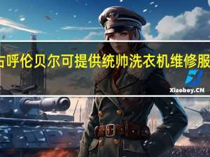 内蒙古呼伦贝尔可提供统帅洗衣机维修服务地址在哪