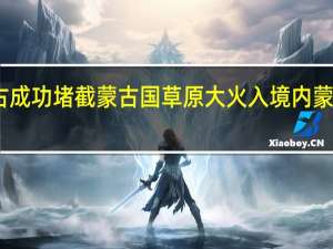 内蒙古成功堵截蒙古国草原大火入境 内蒙古草原防火