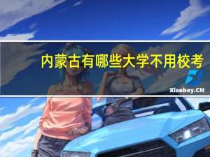内蒙古有哪些大学不用校考，凭文化课和联考美术成绩就能上的