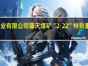 内蒙古阿拉善新井煤业有限公司露天煤矿“2·22”特别重大坍塌事故调查报告公布
