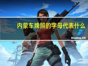 内蒙车牌照的字母代表什么