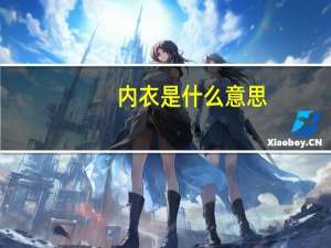 内衣是什么意思