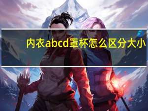 内衣abcd罩杯怎么区分大小