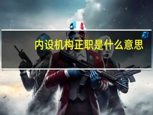 内设机构正职是什么意思