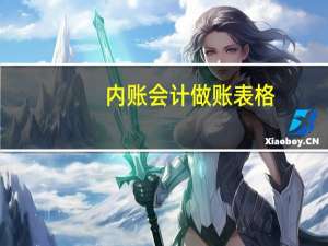 内账会计做账表格