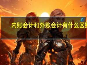 内账会计和外账会计有什么区别