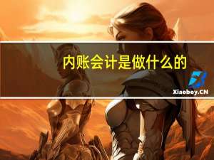 内账会计是做什么的