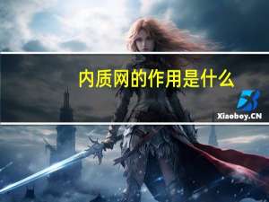 内质网的作用是什么
