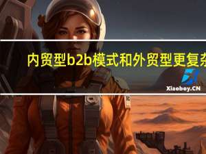 内贸型b2b模式和外贸型更复杂