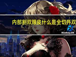 内部割双眼皮 什么是全切开双眼皮手术