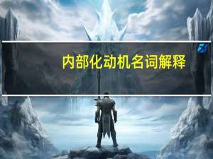 内部化动机名词解释