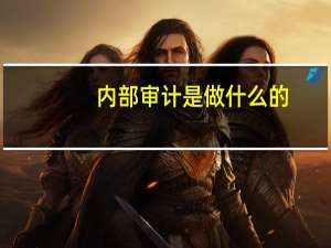 内部审计是做什么的