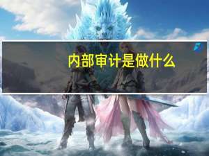 内部审计是做什么