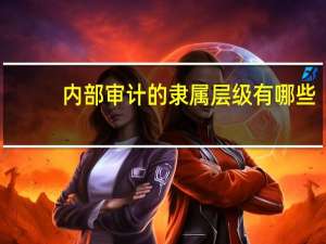 内部审计的隶属层级有哪些